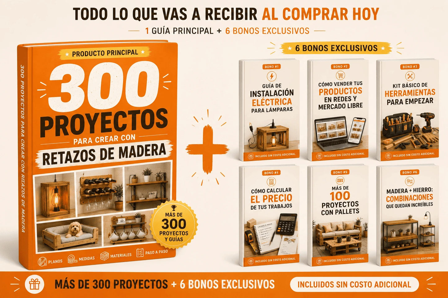 +300 IDEAS DE PROYECTOS DE CARPINTERIA